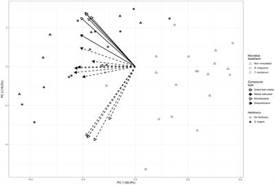 Root symbionts alter herbivore-induced indirect defenses of tomato plants by enhancing predator attraction